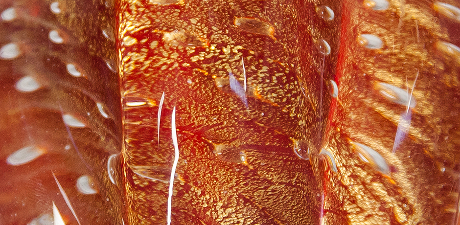 Barovier-Pulegoso-Murano-schuessel-rot-glas - 22 Barovier-Pulegoso-Murano-schuessel-rot-glas