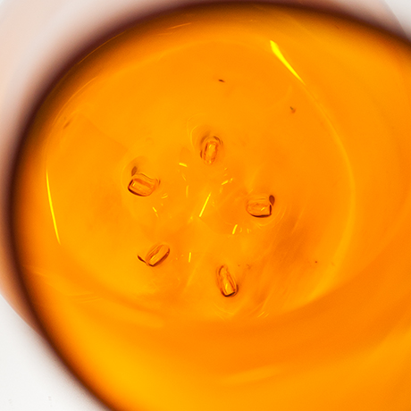Toni-Zuccheri-orti-veart-vase-orange