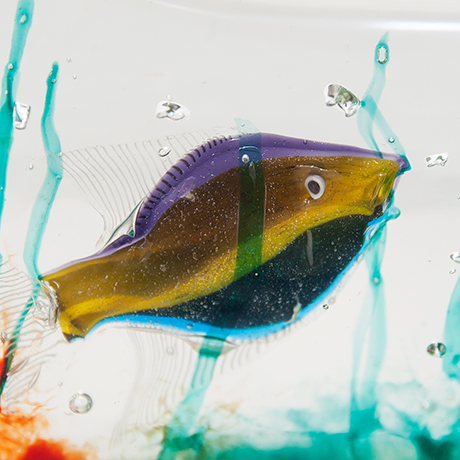 Alfredo-Barbini-Cenedese-Aquarium-Murano-fisch