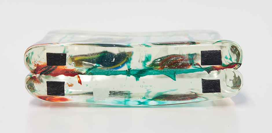Alfredo-Barbini-Cenedese-Aquarium-Murano-glass