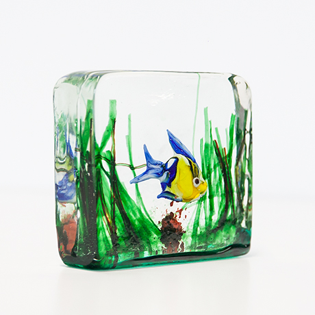 Alfredo-Barbini-Cenedese-Aquarium-fisch-gruen-gelb